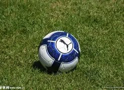 足坛快讯,葡萄牙大胜,英格兰延续,6686体育平台,6686体育官方网站,6686体育登录入口,6686体育app下载