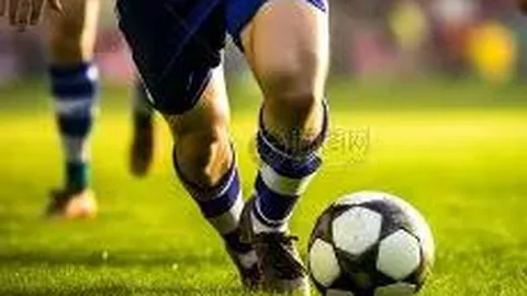 6686体育 资讯 131439 2ol