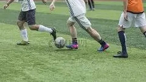 6686体育 资讯 103110 cva