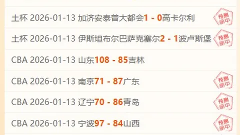 伊尔迪兹破门，弗拉希奇助尤文战平都灵